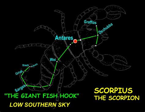 Skywatch: A great meteor shower and great summer scorpion